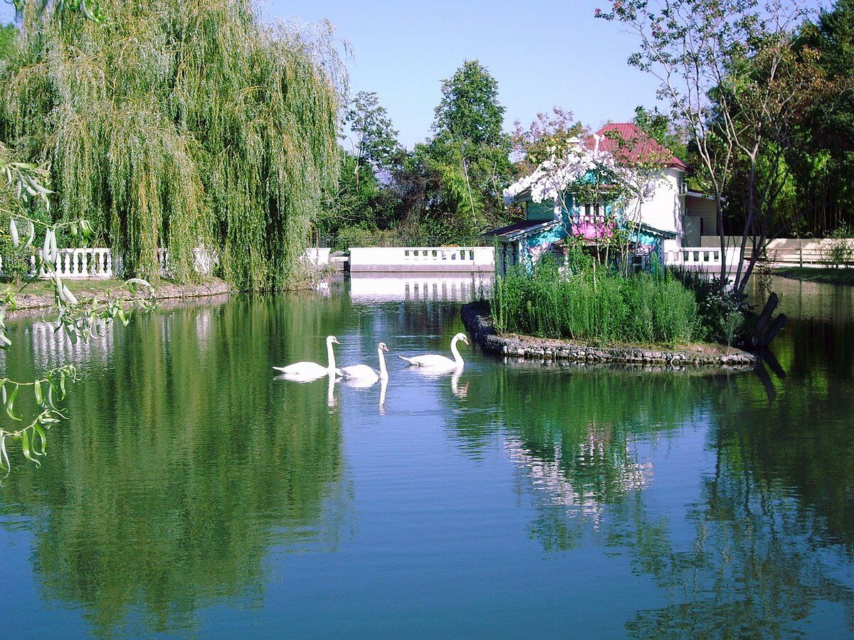 Парк Южный культуры Сириус Парковый